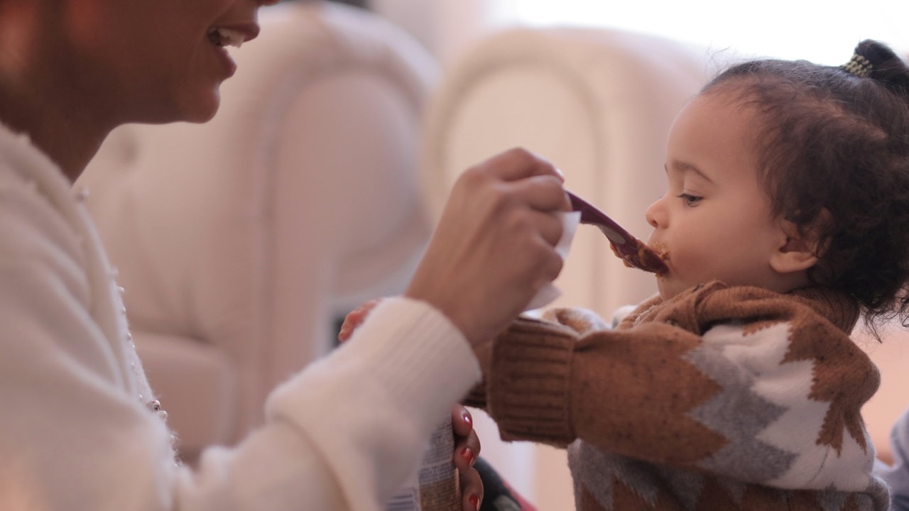 blender for baby food