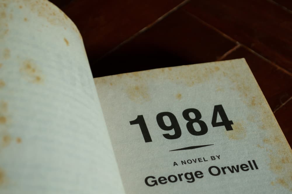 This is a close look at George Orwell's book, 1984.