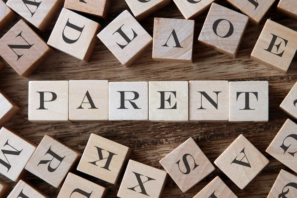 This is a close look at wooden cubes with letters on it that form the word Parent.