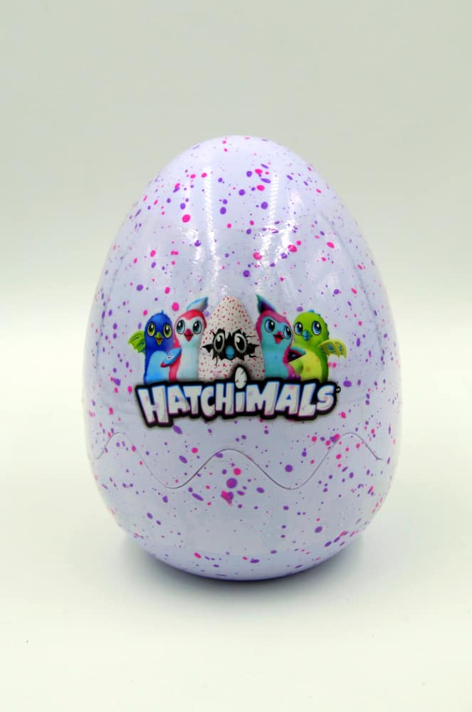 This is a close look at a Hatchimal toy with label on the front.