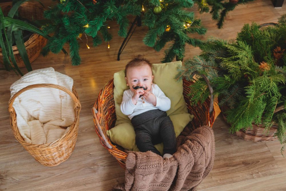 Moses Basket