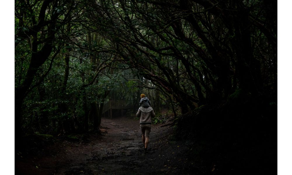 Fun Things To Do With Babies (that Parents Enjoy as Well) 8 Nature Walk.