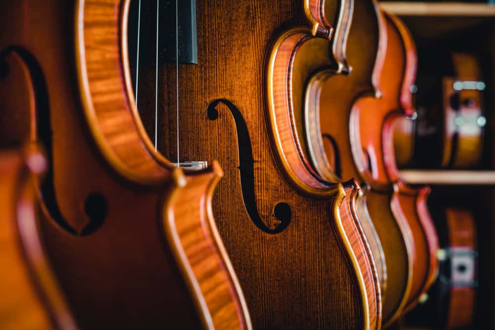 This is a close look at various types of violins on display at a store.