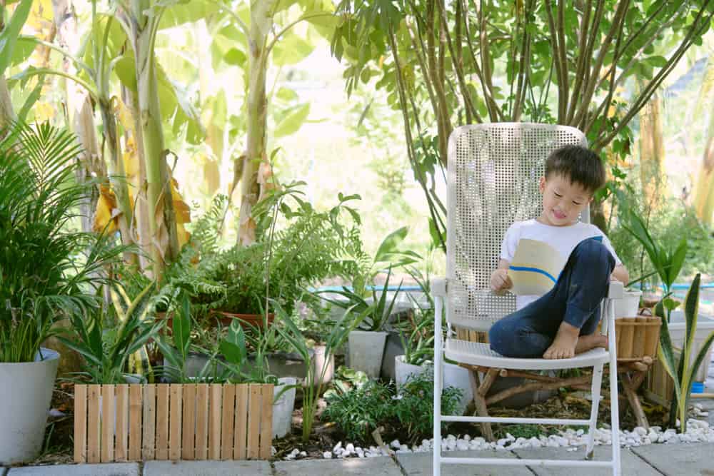 A boy reading a book at the backyard.