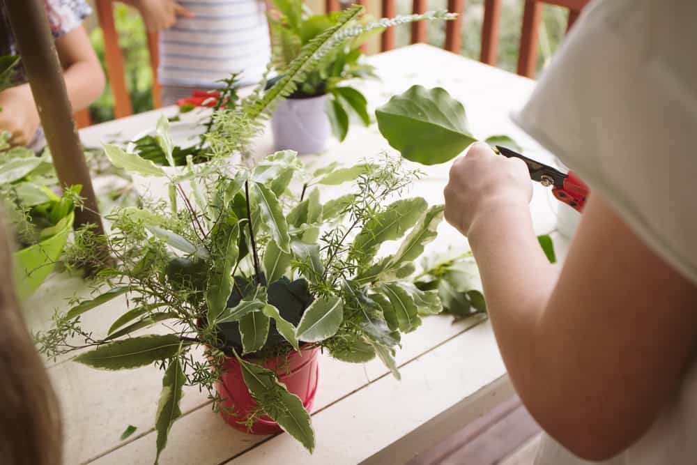 A close look at a woman making a floral arrangement.
