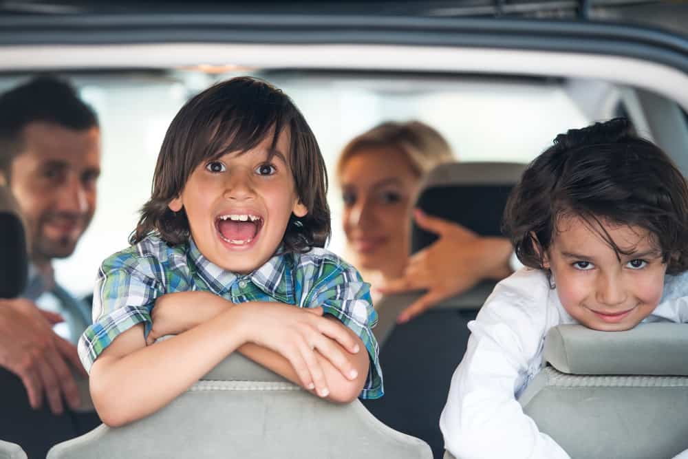 Two happy boys playing in the backseat.