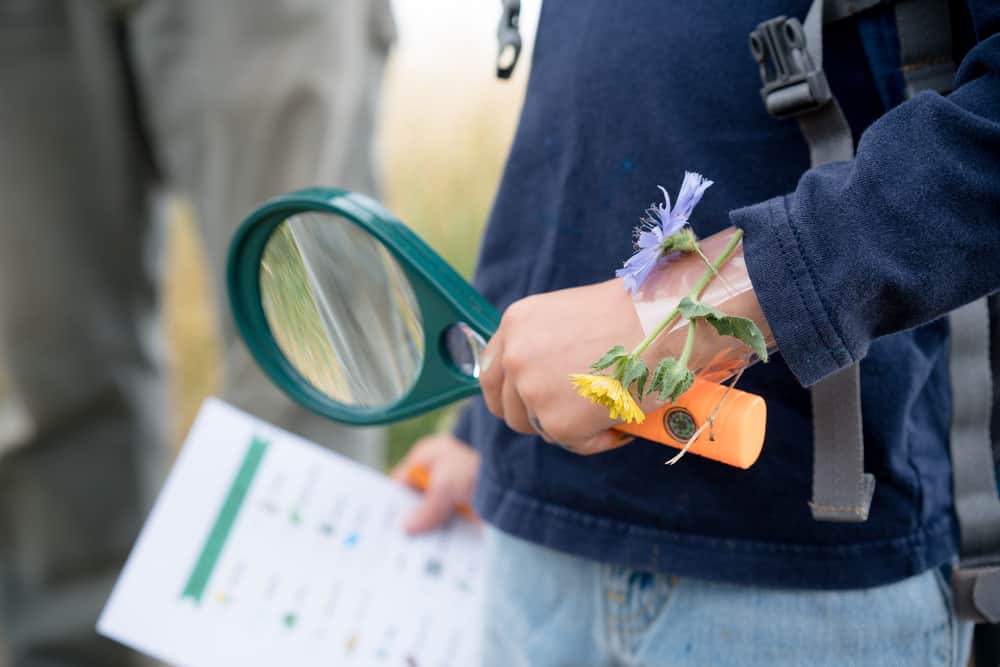 A close look at a kid with a magnifying glass on a scavenger hunt.