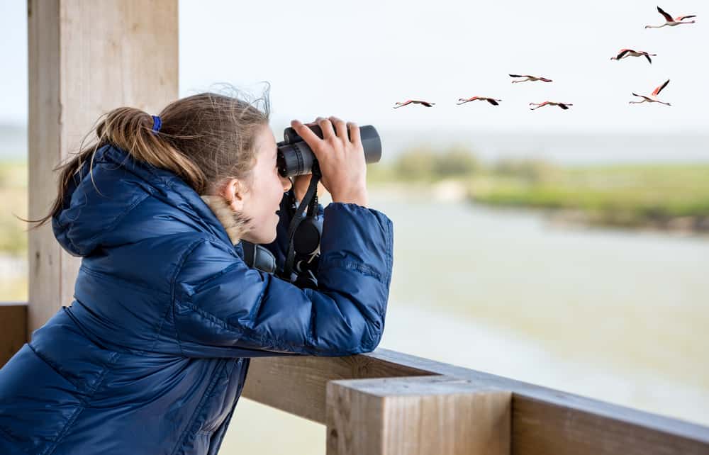 A girl bird watching on a wooden structure.