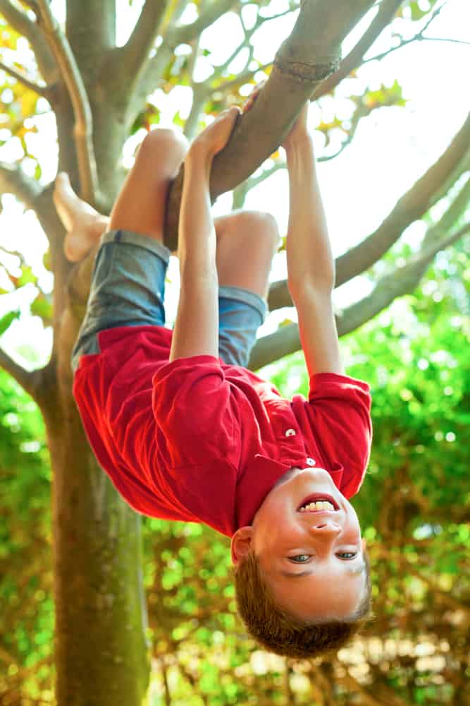 A boy hanging from a tree branch in the backyard.