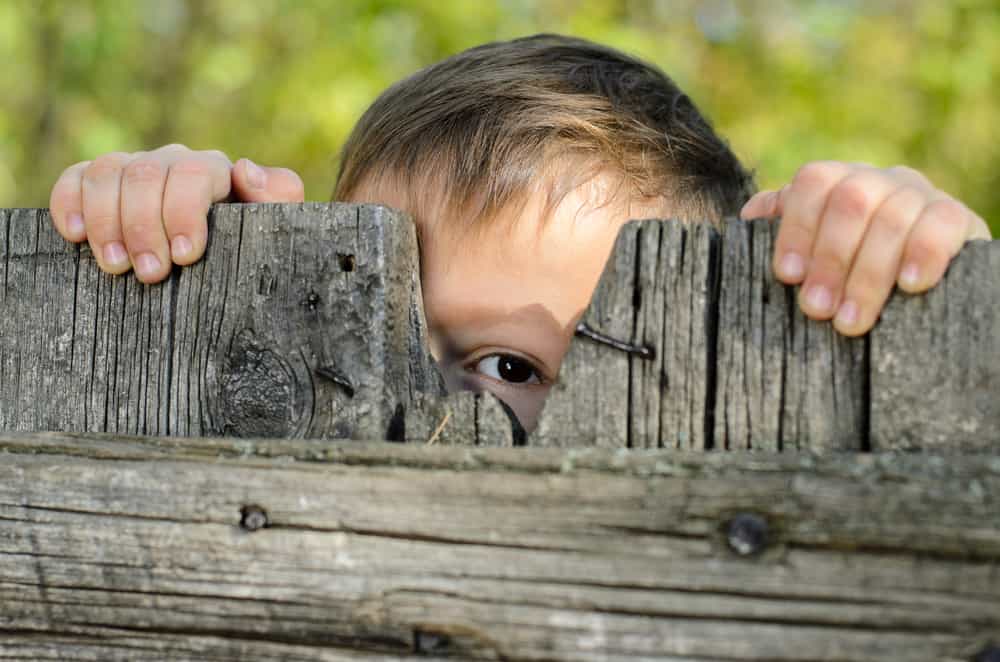 A boy peeking through the wooden fence.