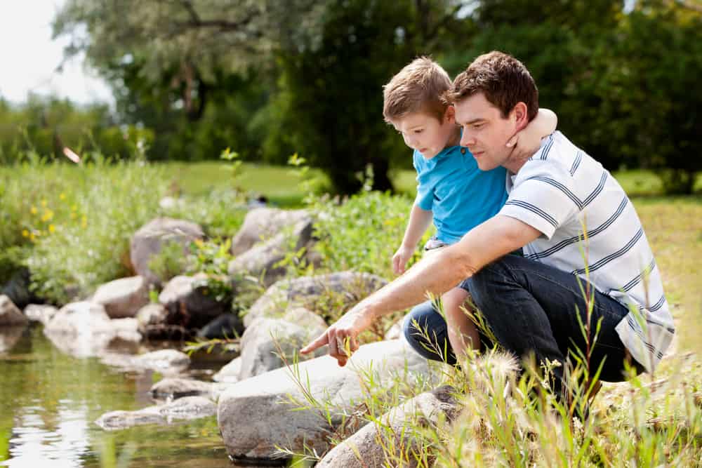 A father and son exploring by the lake in a park.