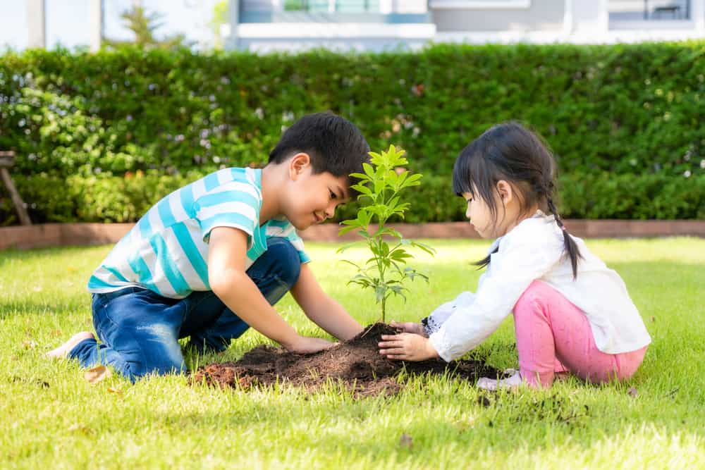 A brother and sister planting a tree in the backyard.