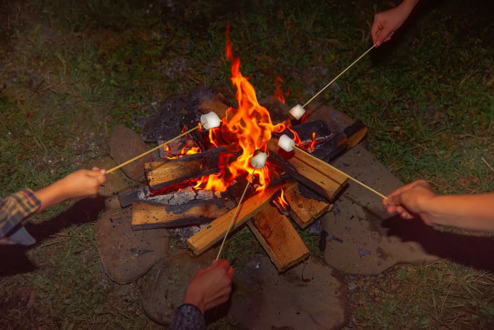 A campfire with marshmallows on sticks grilling.