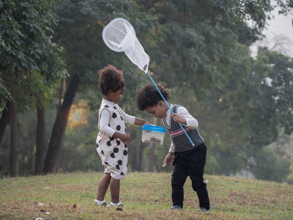Siblings at the park catching bugs with a net.