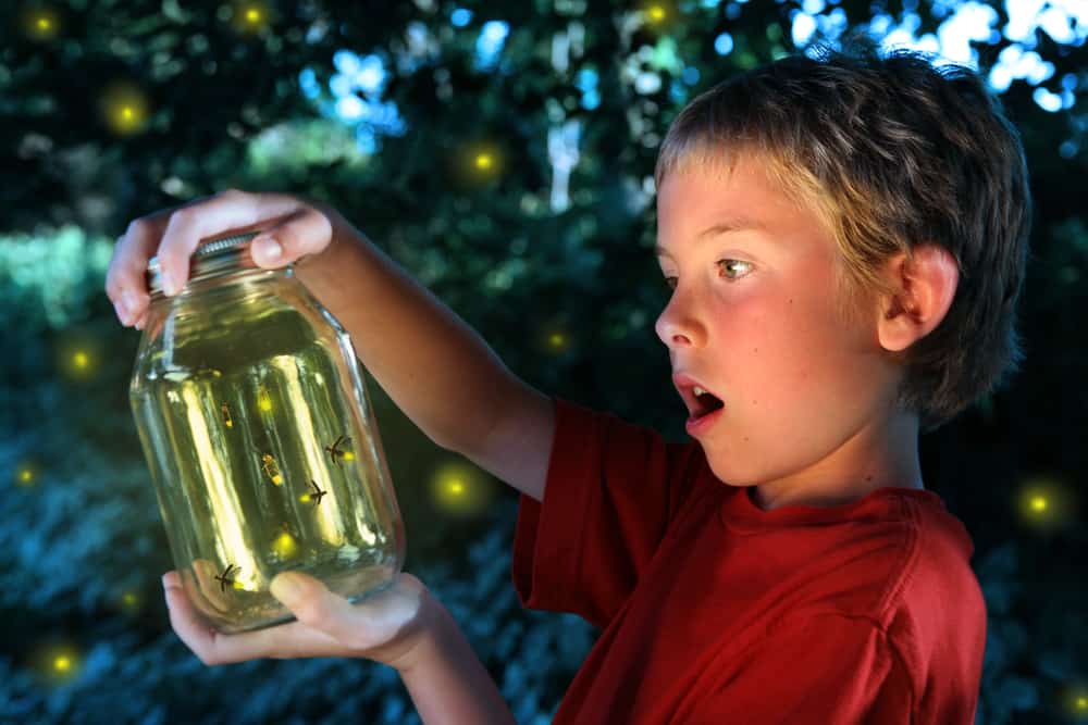 A kid looking at the fireflies he caught.