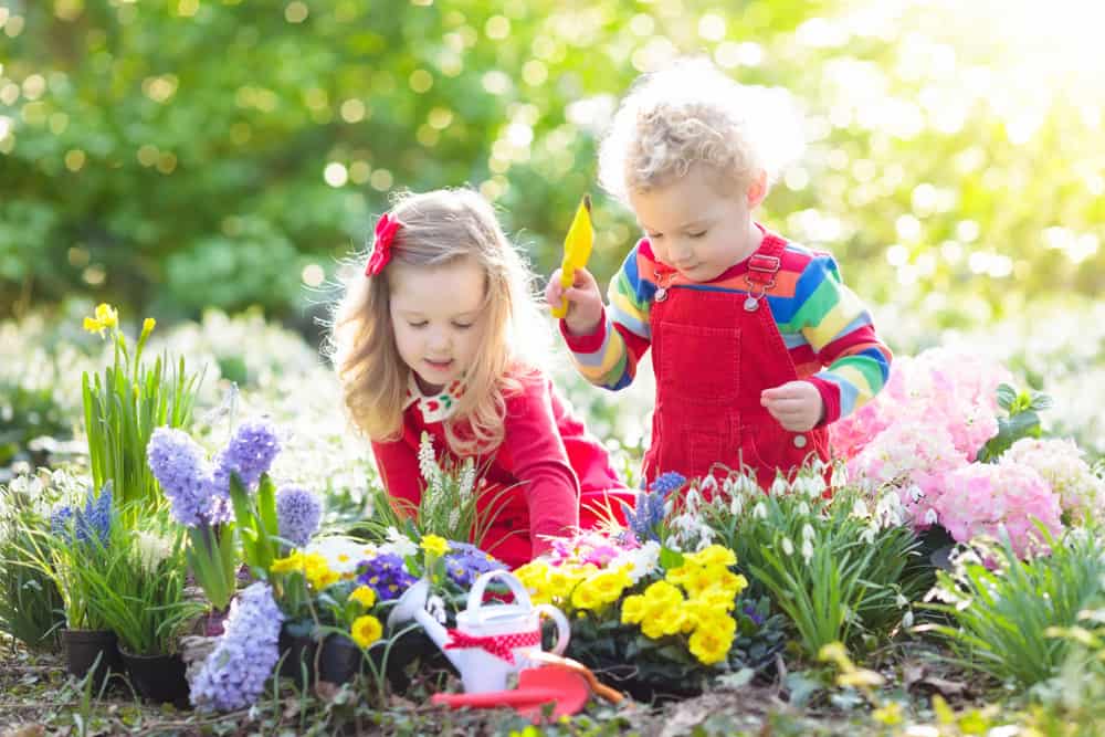 Two kids taking care of the plants and flowers of the backyard.