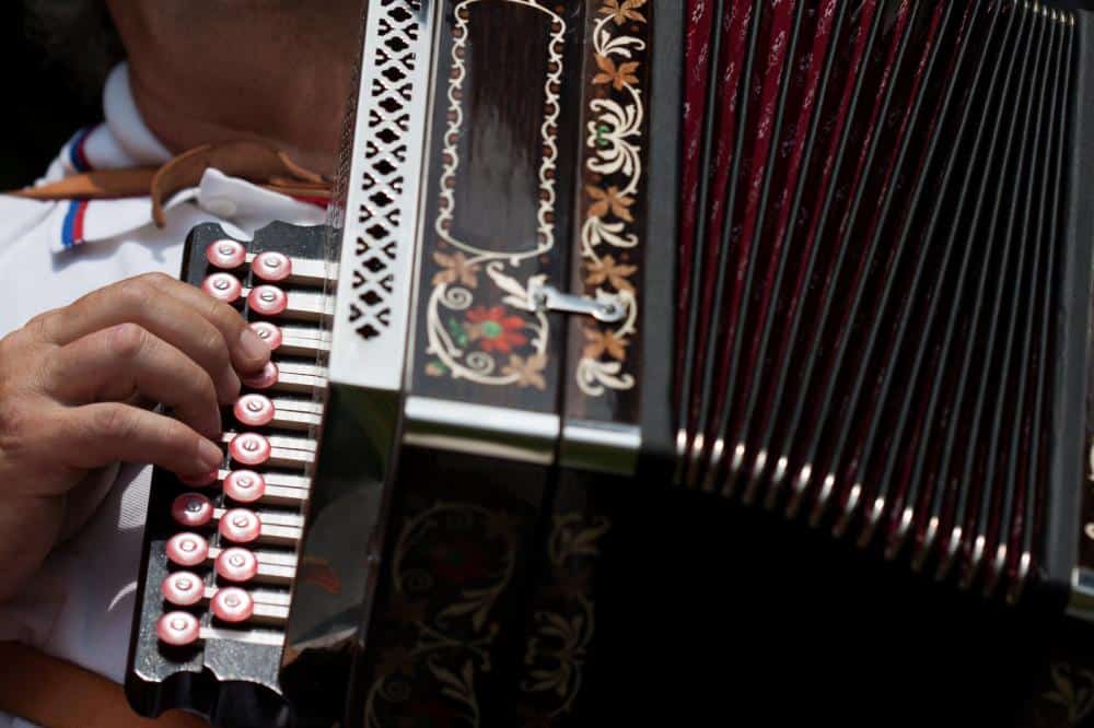 17 Popular Types of Accordions Explained 1 types of accordions