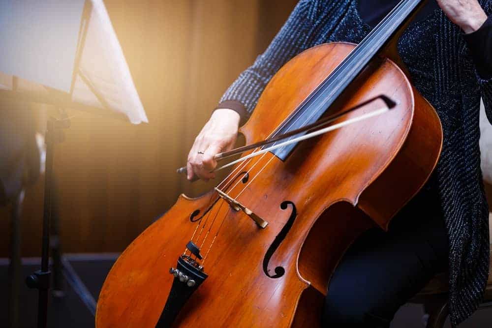types of cellos