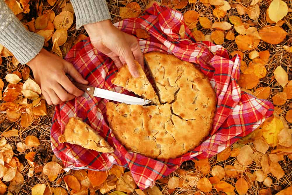 Woman slicing an apple pie on a red checkered towel and yellow autumn leaves.
