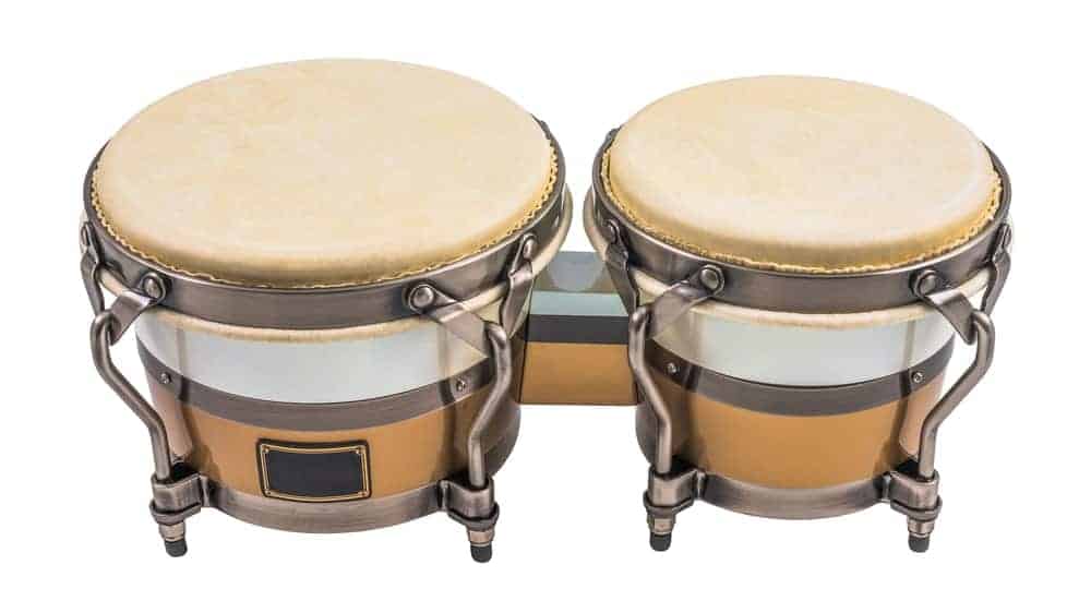 Bongo drums