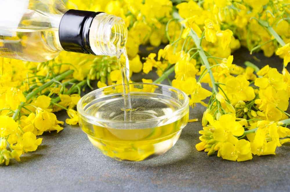 A bottle of canola oil poured on a small bowl beside canola flowers.