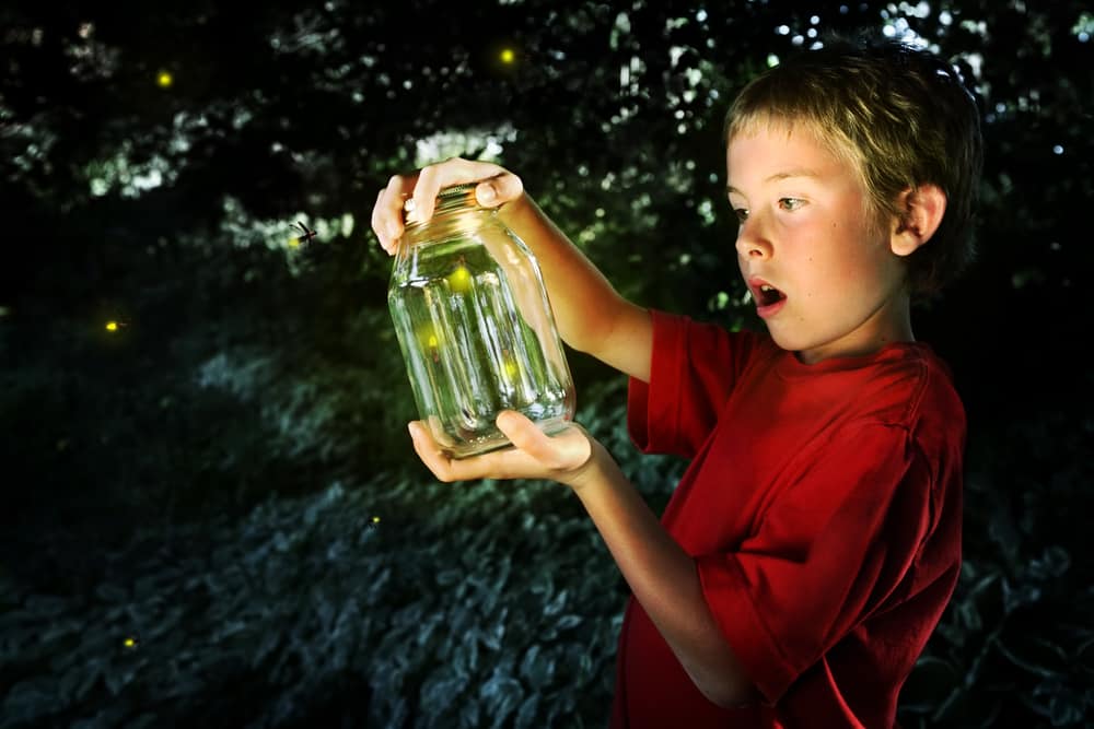 Boy holding a jar of fireflies.
