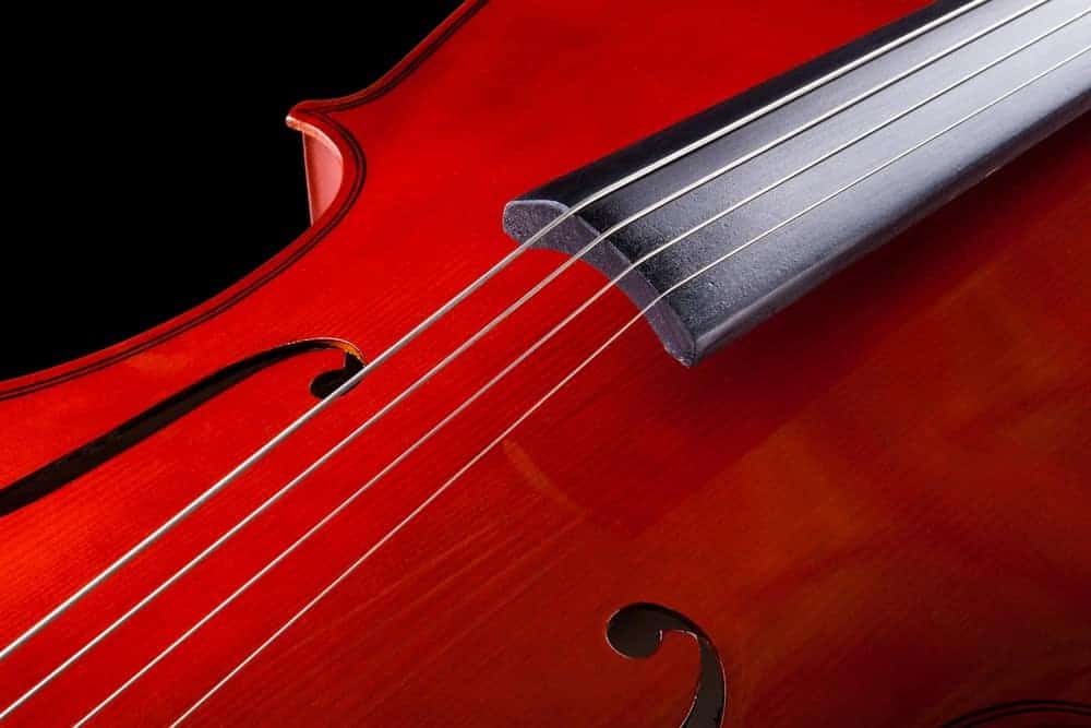 Closeup of cello strings.