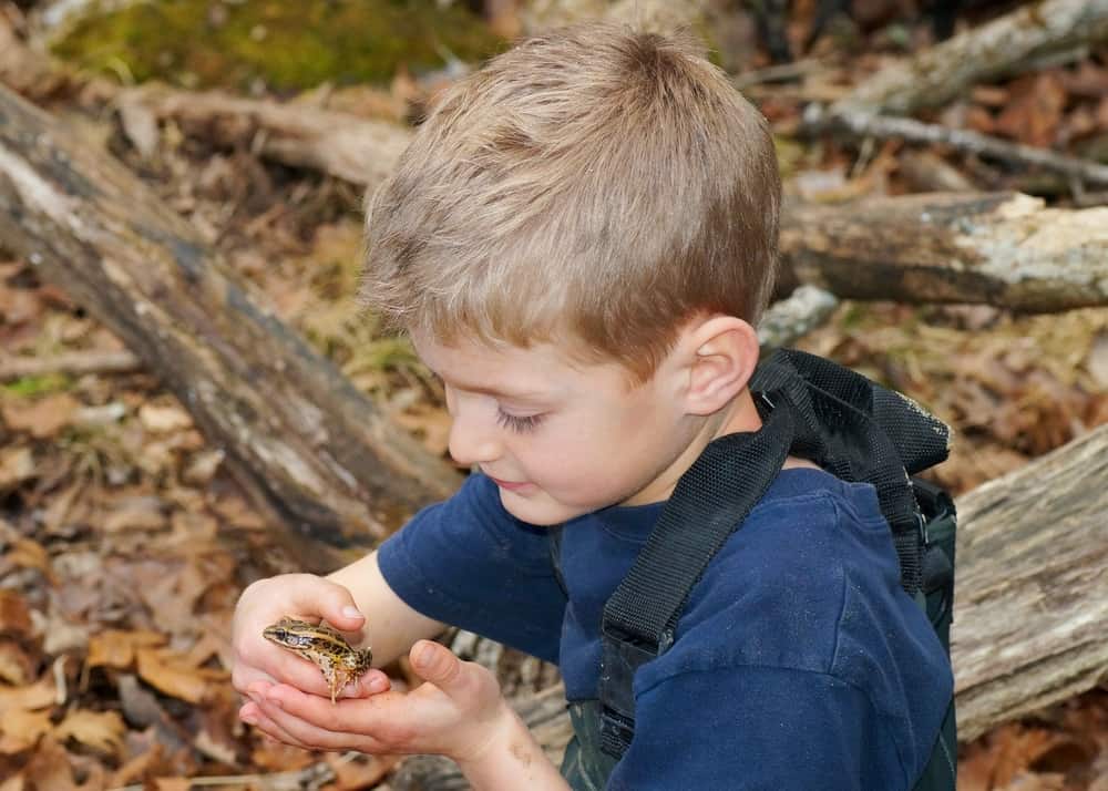 Boy holding a frog in the woods.