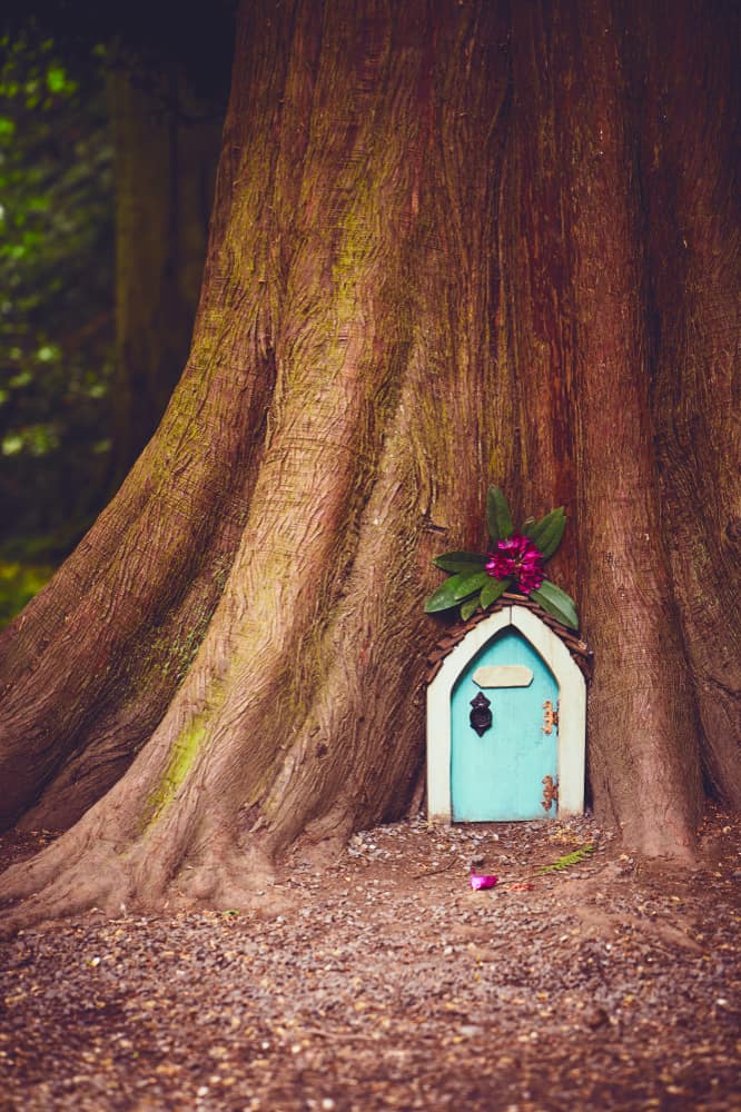 A small fairytale doorway into the trunk of a large tree.