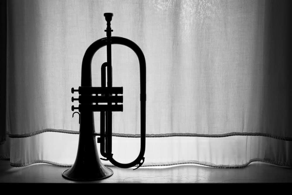 9 Popular Types of Trumpets Explained 7 Flugelhorn by the window.