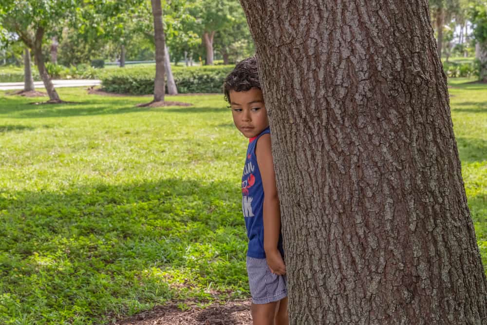 Little boy hiding behind a large tree.
