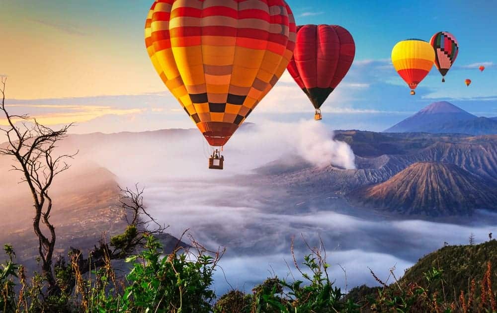 Hot air balloons over a scenic landscape.