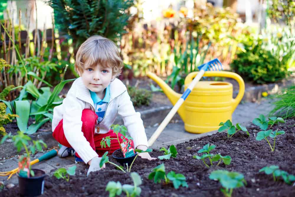12 Best Garden Toys For Kids 1 Little boy planting seeds of tomatoes in vegetable garden.