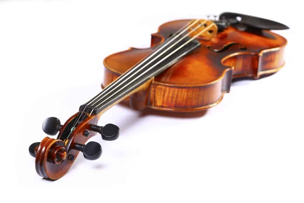 Cello made of maple.