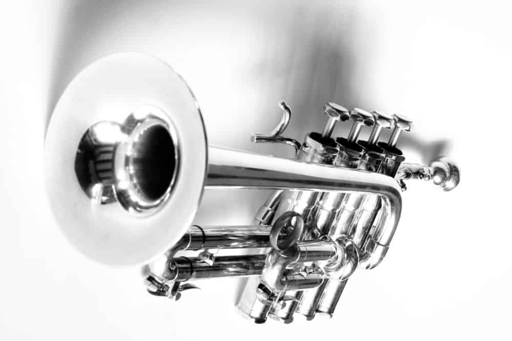 9 Popular Types of Trumpets Explained 8 Piccolo trumpet on white background.