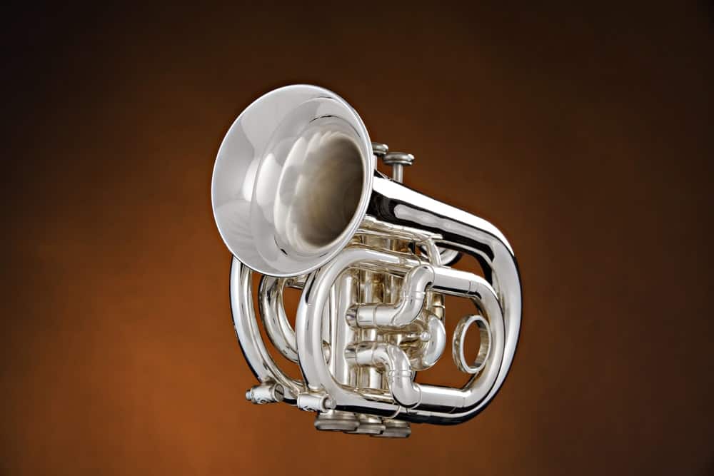 9 Popular Types of Trumpets Explained 3 Pocket trumpet isolated on brown background.