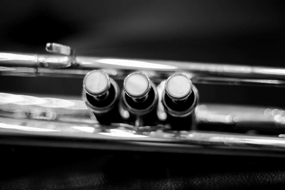 9 Popular Types of Trumpets Explained 15 Three valves of a trumpet.
