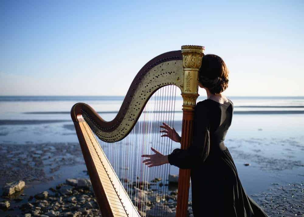 18 Popular Types of Harps Explained 1 types of harps
