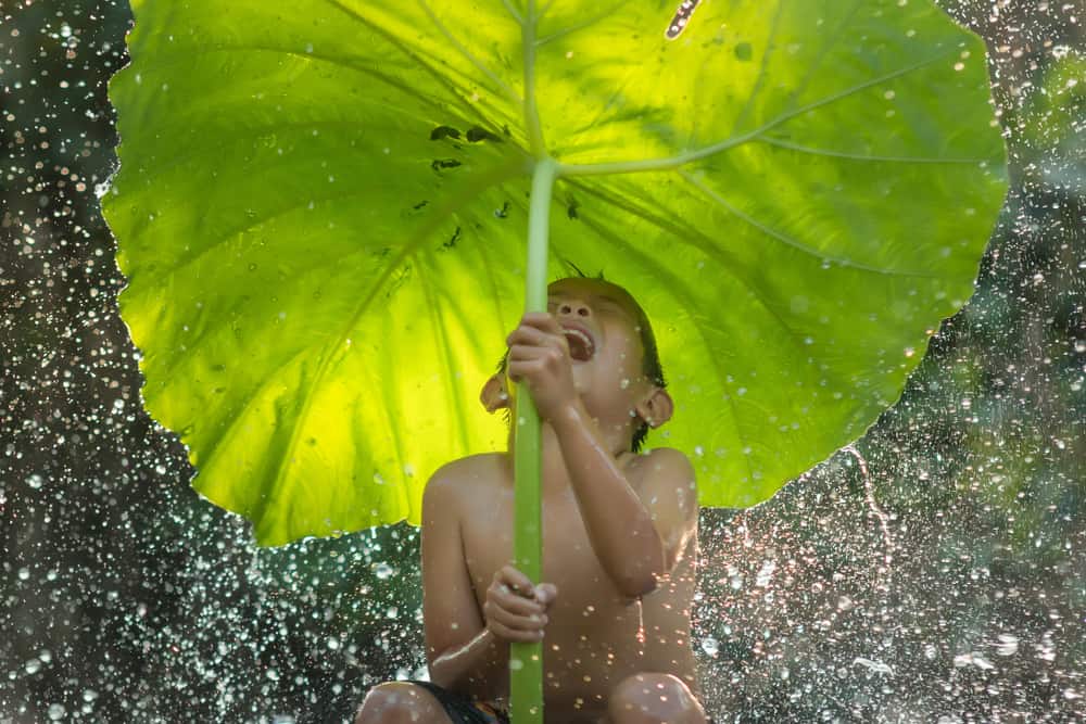 50 Fun Water Activities for Kids 1 water activities for kids