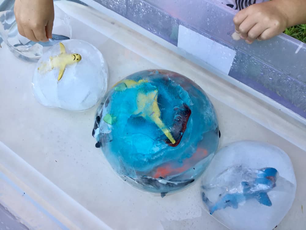 This is a close look at a few plastic toys frozen in ice.
