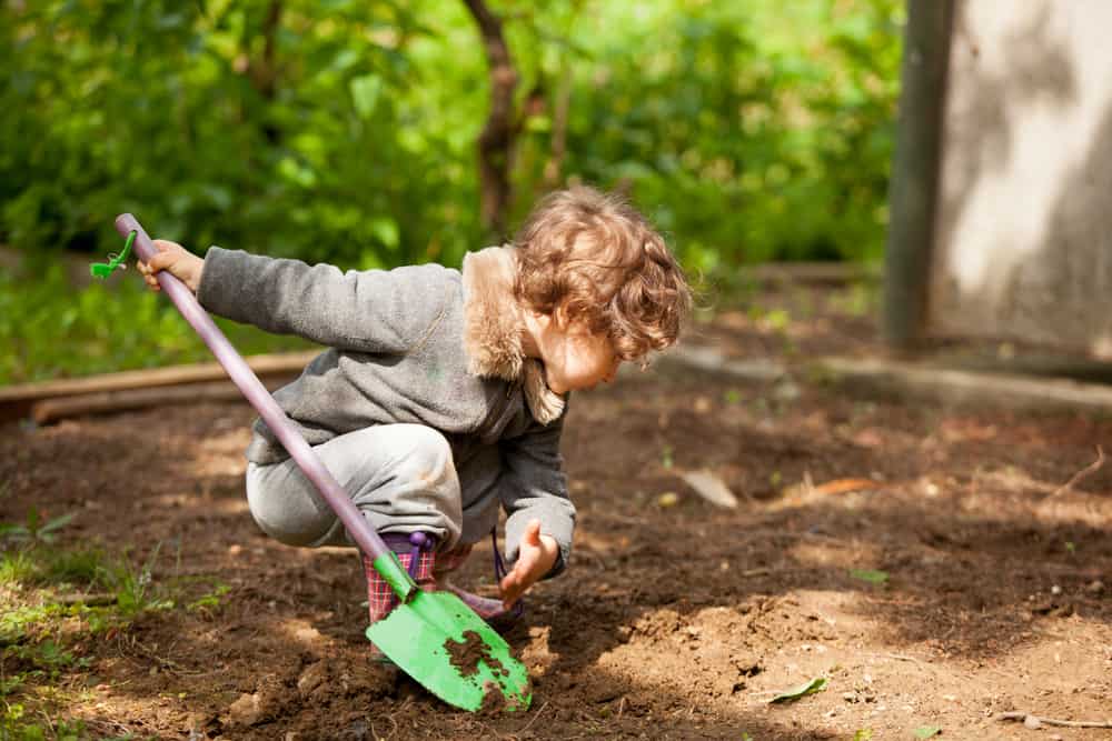 Digging toys: A kid playing with a shovel and digging at the backyard. 
