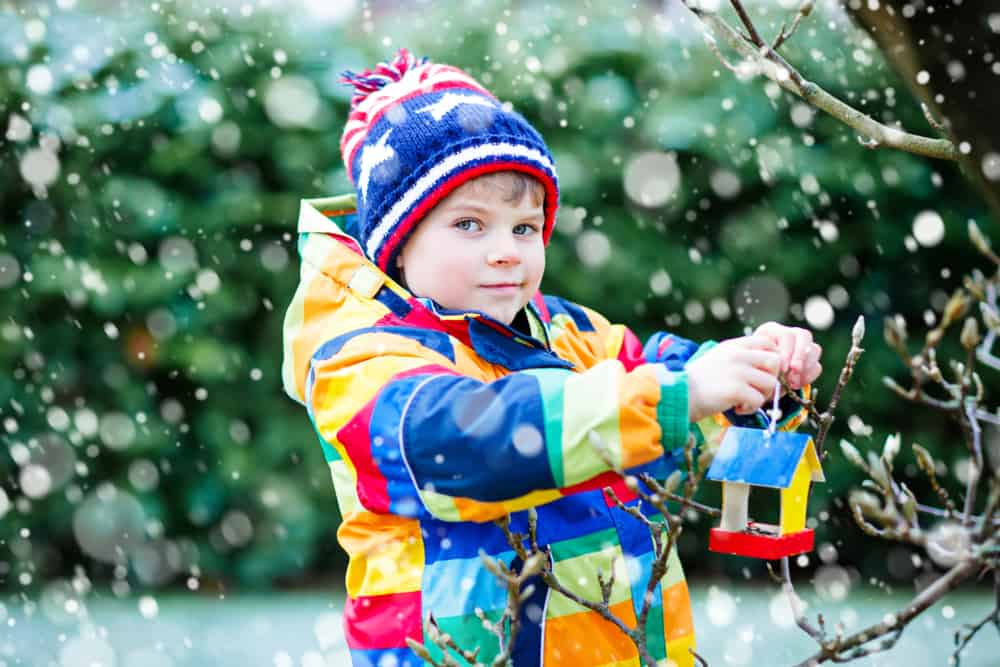 Nature activities for kids: Little boy in colorful jacket and beanie feeding bird during winter.