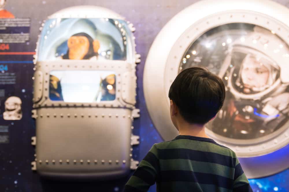 50 Best Science Activities for Kids 5 Little boy looking at Yuri Gagarin, soviet astronaut and rhesus monkey, Albert, board in Space Inspirium museum.