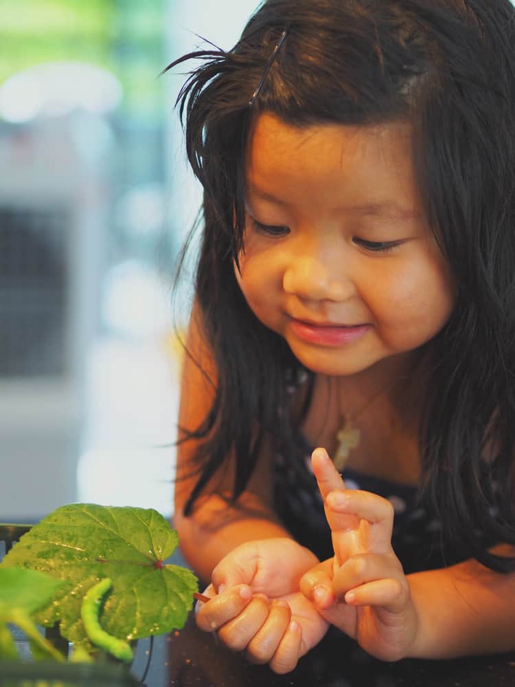50 Best Science Activities for Kids 2 Little girl observing a caterpillar on a green leaf.