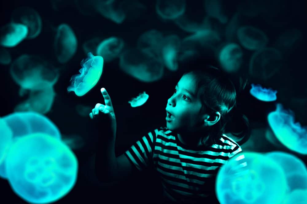 Little boy pointing at one of the glow-in-dark jellyfish.