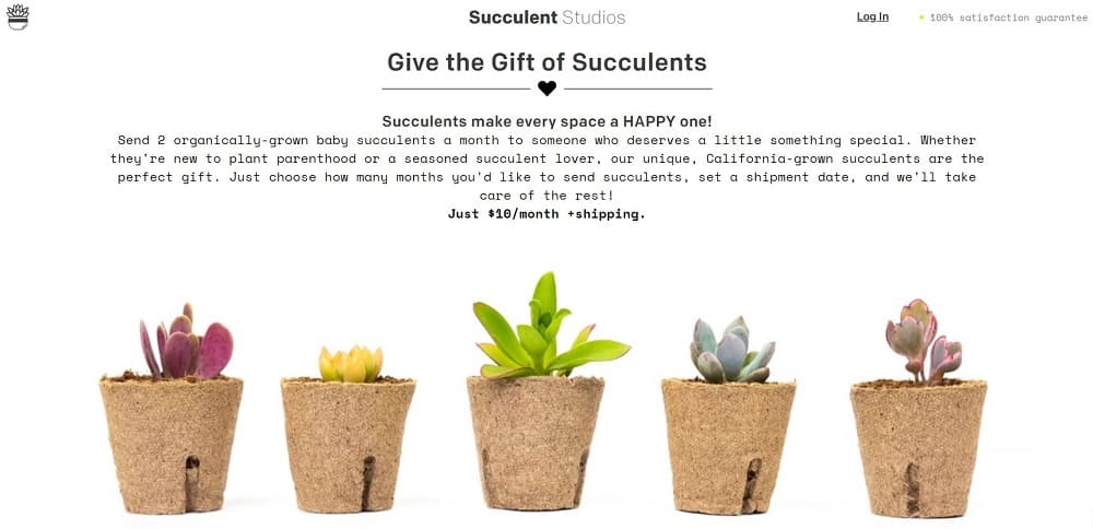 34 Perfect Gifts for 13 Year Old Girls 2 This is a screenshot of the Succulent Studio website homepage.