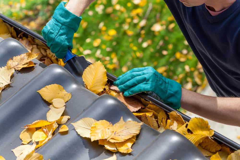 44 Best Chores for Teenagers 15 Teen clearing the leaves out from the gutter.