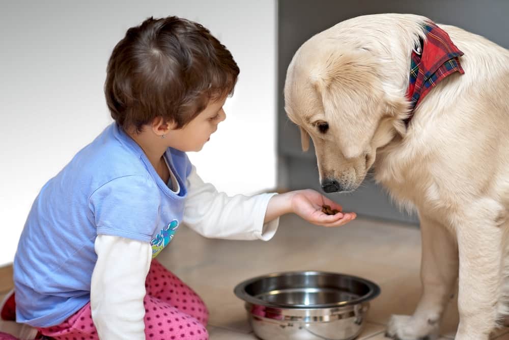 15 Best Chores for 5-6 Year Olds 10 Little boy feeding his pet dog.