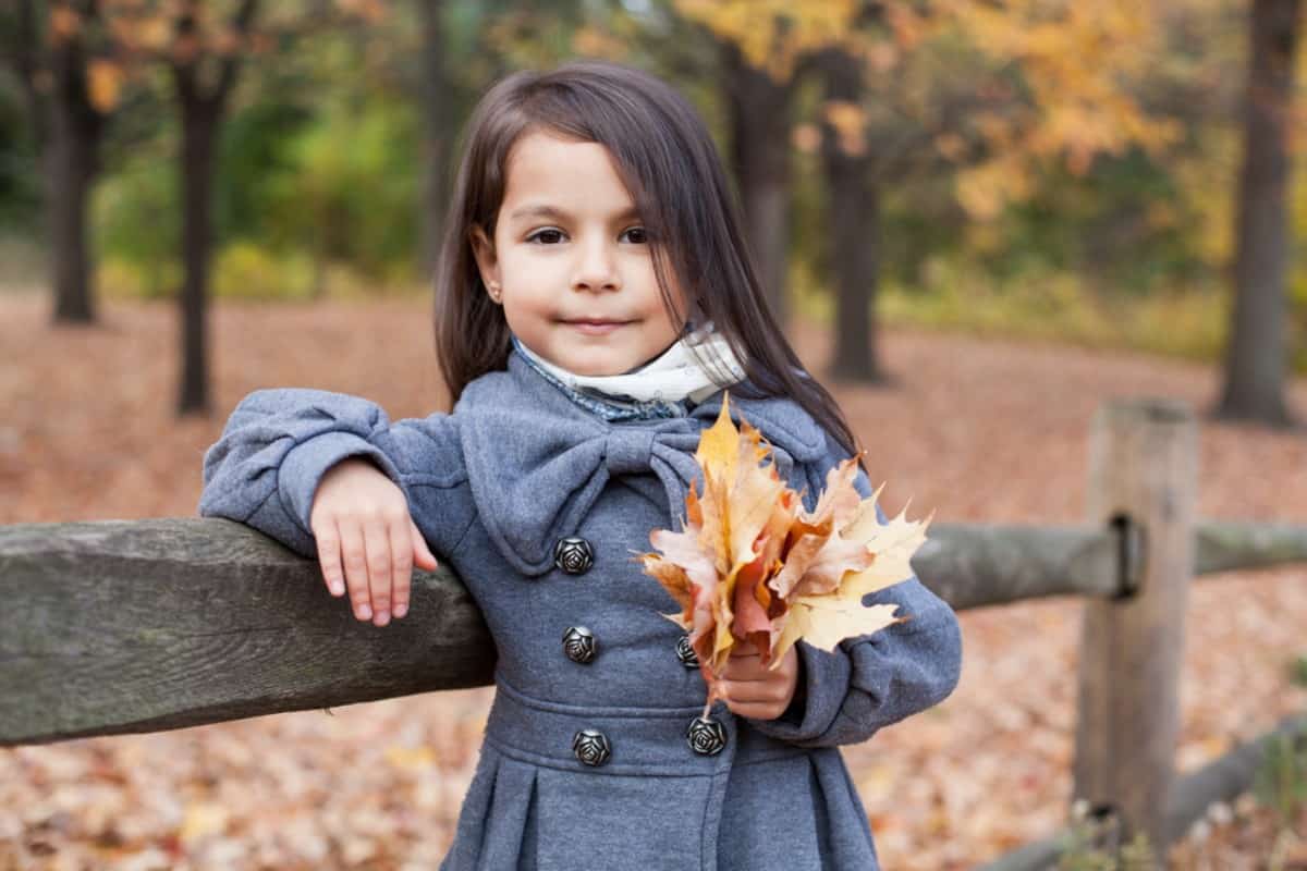 Little girl in a gray coat jacket holding autumn leaves.