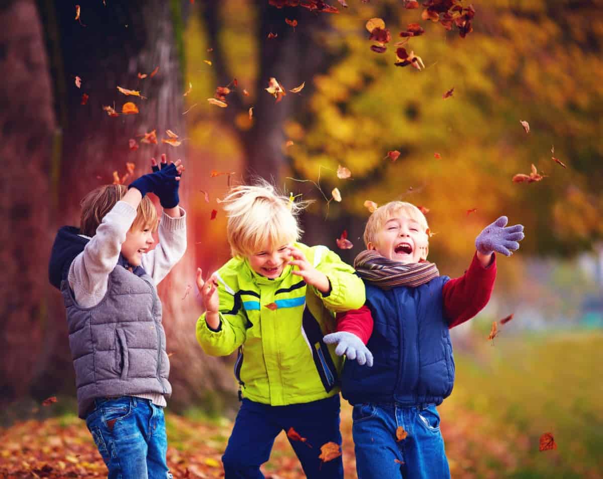 Little boys in jackets having fun with falling autumn leaves.